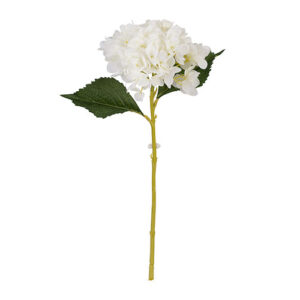 ORTENSIA BIANCA 46 CM