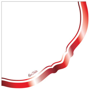 16 TOVAGLIOLI LIBERTY BORDO ROSSO METAL 33 X 33